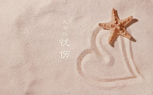 包头一个人喝酒的地方